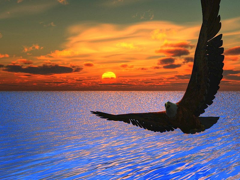 HD-wallpaper-eagle-over-the-sea-sun-water-bird-flying-eagle-sky